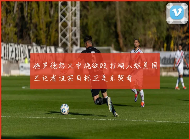 施罗德怒火中烧欲殴打湖人球员国王记者证实目标正是东契奇