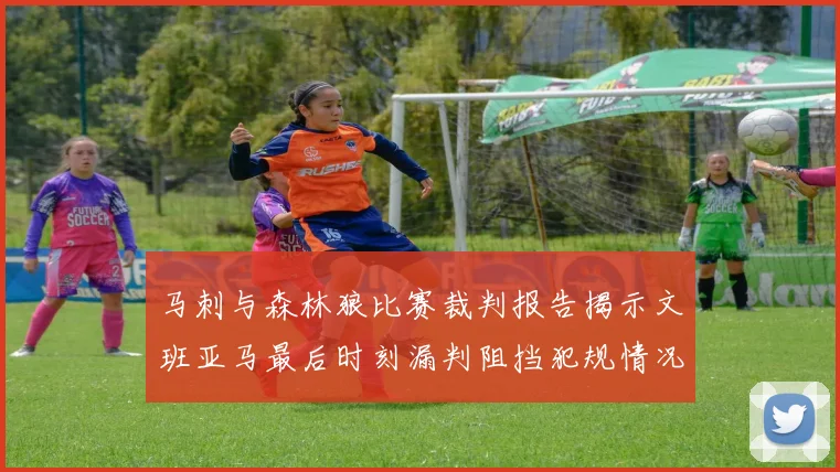 马刺与森林狼比赛裁判报告揭示文班亚马最后时刻漏判阻挡犯规情况
